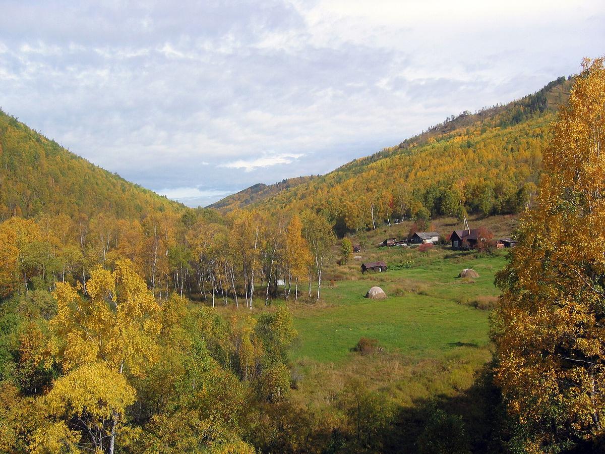 Baikal summer shore