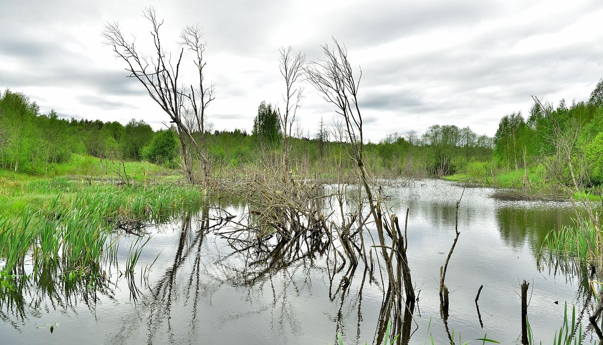 national park boundary Russia