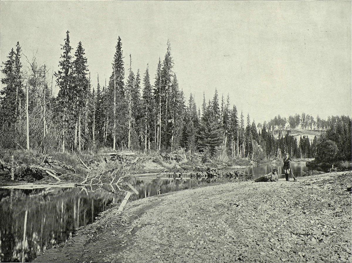 Siberian taiga river