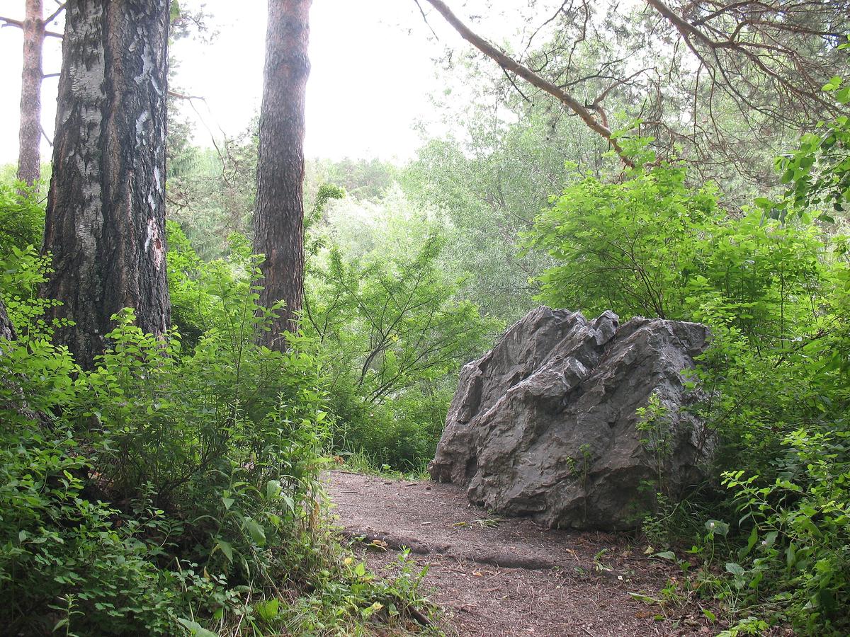 Siberian alpine