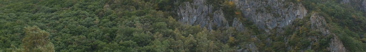 Sikhote-Alin reserve Primorye