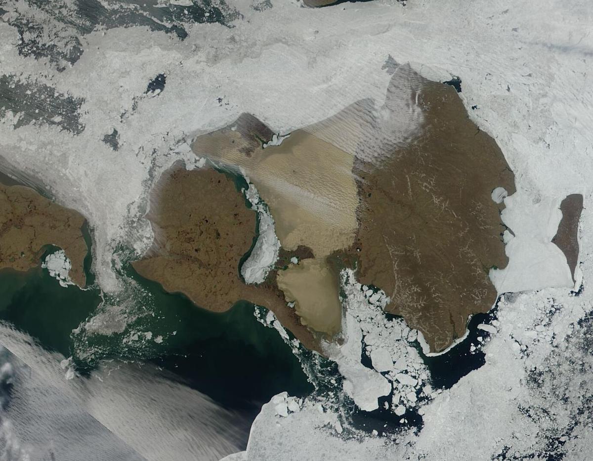 Arctic island tundra Russia
