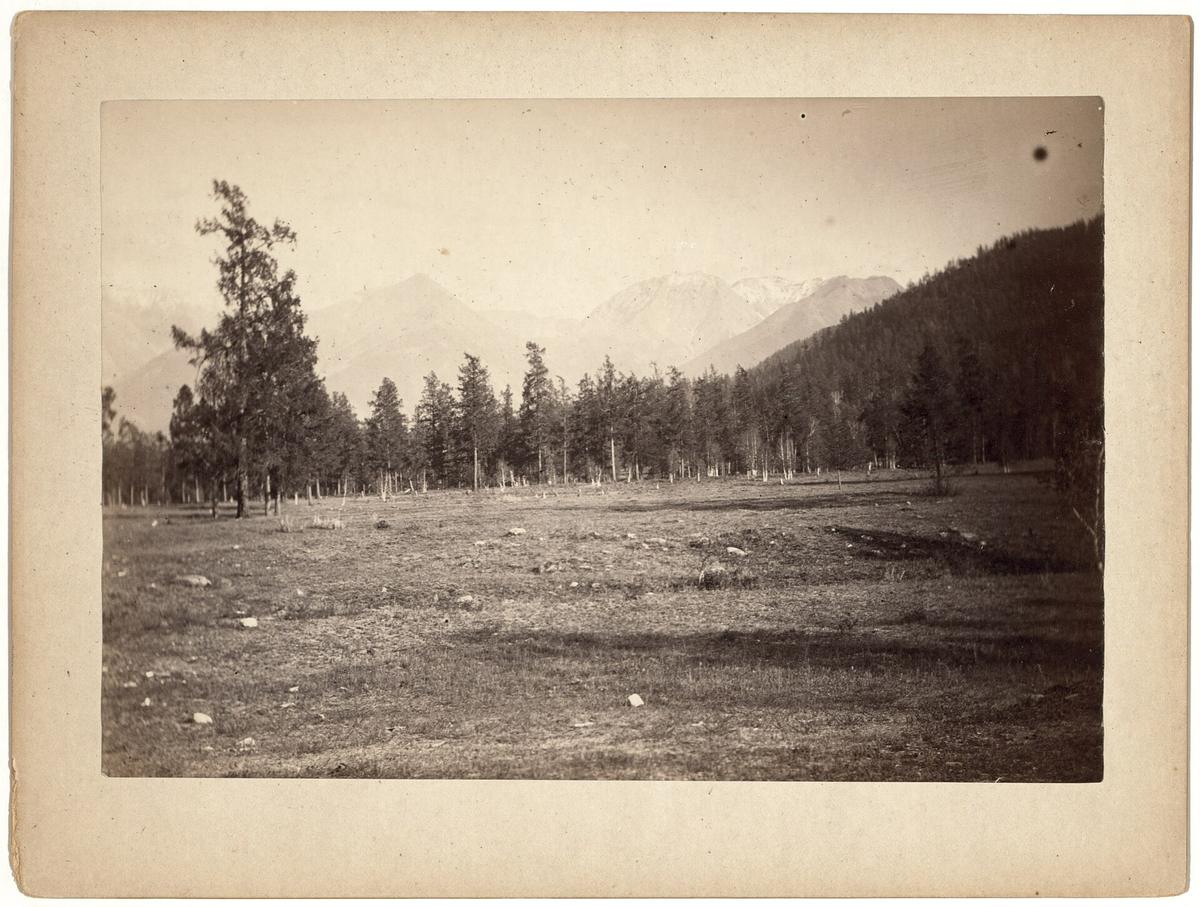 Altai mountains Russia Katun