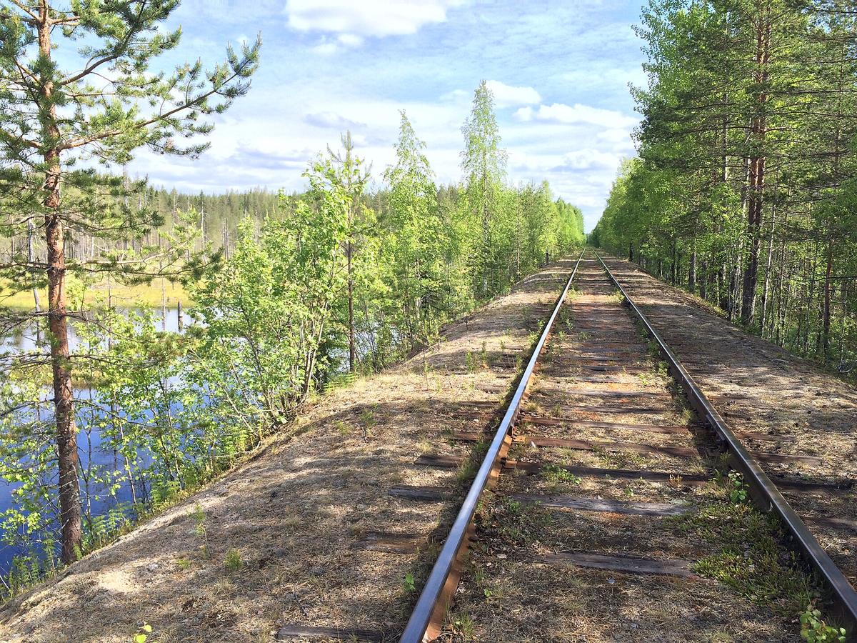 Karelia forest lake Russia