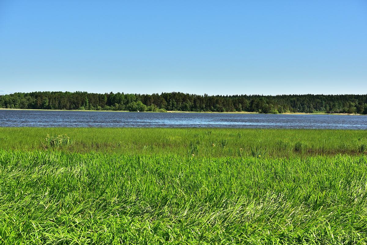 Ladoga skerries Karelia Russia