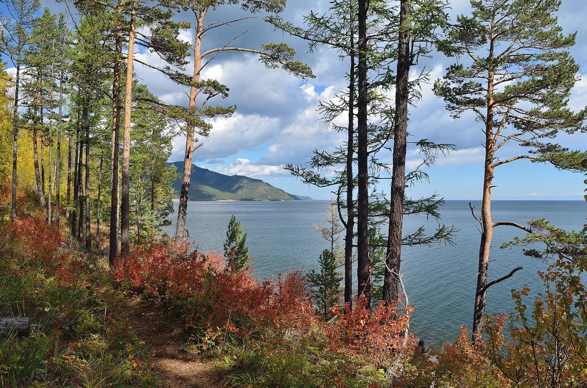 Baikal shore trail